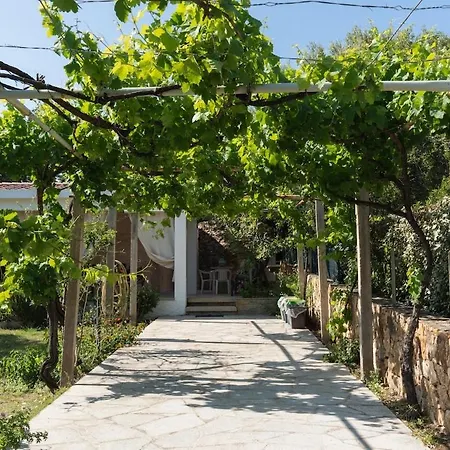 Casa Ginepro Дом отдыха Ольбия