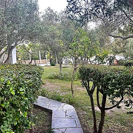 Casa Ginepro Ferienhaus Olbia